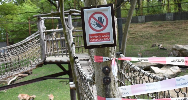 zoopark2020 (8).jpg